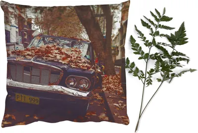 Produktbild von MuchoWow® Zierkissen Sofakissen Wohnzimmer Dekokissen 50x50 cm Auto - Herbstblätter - Landleben - Komfort - Sofakissen