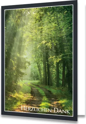 Produktbild von Friendly Fox Danksagungskarten Trauer mit Umschlag, 12 Trauerkarten Danksagung mit Umschlag "Waldweg", Dankeskarten nach Beerdigung