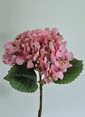 Produktbild von artplants.de Kunstblume Hortensie MYNMAR, rosa, 35cm - Künstliche Hydrangea