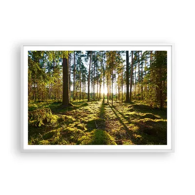 Produktbild von Gerahmtes Poster - Weißer Rahmen - Wald Baum Natur - 100x70 cm - Wand Bild - Wanddeko - Wandbilder - Kunstposter - Wandposter - Bilderrahmen - Bilder - Kunstdruck - Wandbild - P2WAA100x70-3724