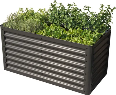 A raised garden bed filled with various plants, set against a white background.