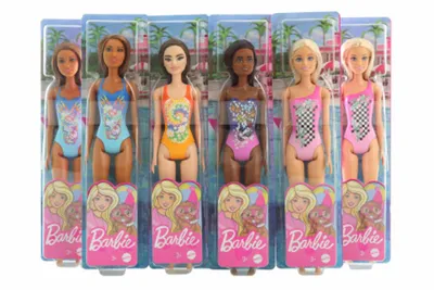 Obrázek produktu pro Barbie Fashionistas DWJ99, Dětská panenka, Ženy, 3 rok/roky, Dívka, 292,1 mm, 108 g