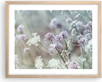 Produktbild von Gerahmtes Poster - Rahmen in heller Eiche - Wiese Knoblauch Blume - 50x40 cm - Wand Bild - Wanddeko - Wandbilder - Wandposter - Bilderrahmen - Bilder - Kunstdruck - Wandbild - P2NAA50x40-4177