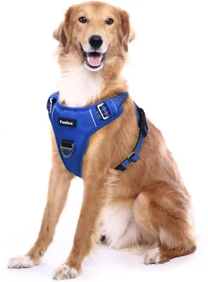 Image de Harnais pour chien, taille XL, bleu, réglable, anti-traction, avec poignée et bandes réfléchissantes, respirant