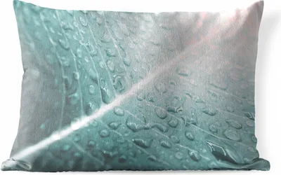 Produktbild von MuchoWow® Outdoor Kissen - Wassertropfen auf Blatt - 60x40 cm - Wetterfest - Lounge Kissen - Zierkissen - Kissen für Innenräume