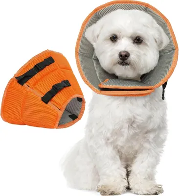 Produktbild von Kuoser Halskrause Hund Leckschutz Schutzkragen Einstellbar Orange M