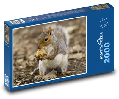 Zdjęcie produktu dla martinpuzzle - Puzzle 2000 - Wiewiórka z orzechem
