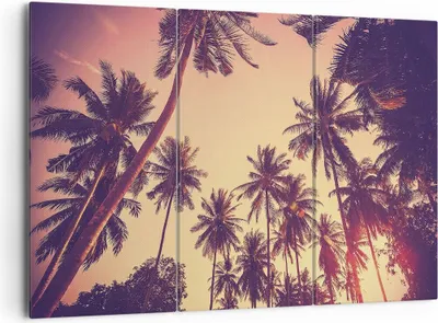 Produktbild von Bild auf Leinwand - Leinwandbild - 3 Teile - Palmen Himmel Sonne - 165x110cm - Wand Bild - Wanddeko - Wandbilder - Leinwanddruck - Bilder - Wanddekoration - Leinwand bilder - Wandbild - CE165x110-4220