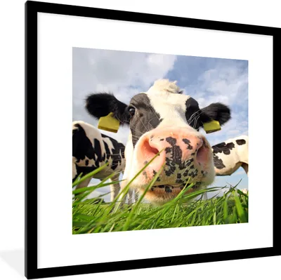 Produktbild von MuchoWow® Gerahmtes Poster Kuh - Bauernhof - Gras - Tiere 40x40 cm - Poster mit Schwarzem Bilderrahmen Wandposter Rahmen Foto Bilder - Poster - Plakat im Rahmen