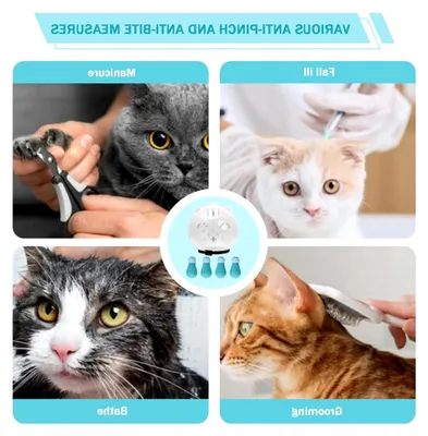 Produktbild von Katzen-Bubble-Maulkorb, atmungsaktiv, Katzenhelm für die Fellpflege, Anti-Biss, transparente Kopfbedeckung mit 4 Silikon-Pfotenschuhen