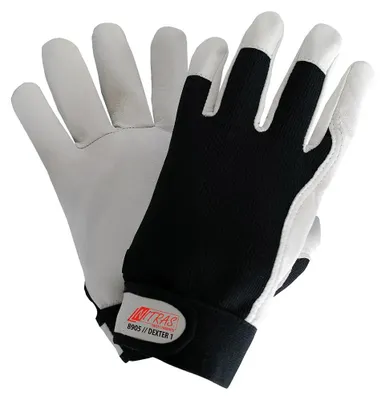 Productafbeelding van NITRAS 8905 Dexter 1, werkhandschoen, maat: 9 (L)