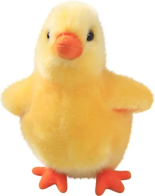 A stuffed toy chick is shown against a white background.