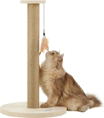 Produktbild von ACAZA - Kratzbaum - Kratzbaum für Katzen - Katzenbaum - Höhe 64 cm - Beige