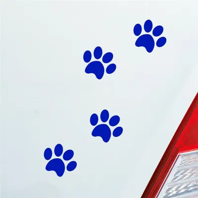 Produktbild von Auto Aufkleber Pfoten Paws Dog Hund Haustier Tier Pfote Paw 8x10 cm Dunkelblau Sticker Heckscheibenaufkleber