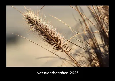 Produktbild von Naturlandschaften 2025 Fotokalender DIN A3