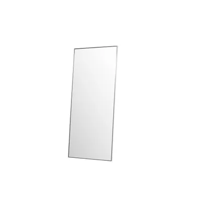 A tall, rectangular mirror with a thin silver frame, standing upright against a white background.