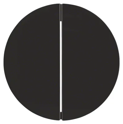 Produktbild von Berker 16232045 - Schwarz - 10 Stück(e)