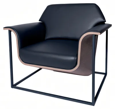 Produktbild von Schwarzer Sessel mit Holzrahmen modernes und komfortables Design