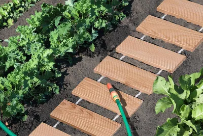 Produktbild von Rollweg Gartenweg Lärche 26x250 cm - 2er Set
