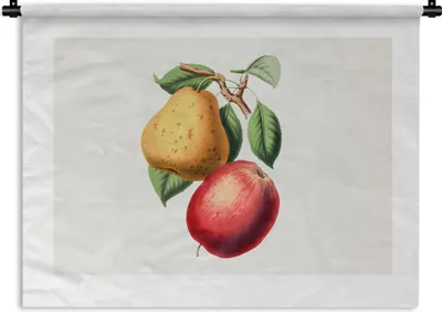 Produktbild von MuchoWow® Wandteppich Wandbehang Apfel - Birne - Obst 150x112.50 cm Tapisserie Dekoration Wandtuch - Wanddecke - Wandteppiche