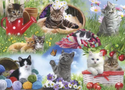 Image de Puzzle GIBSONS Nous assemblons : Chats 12 pièces