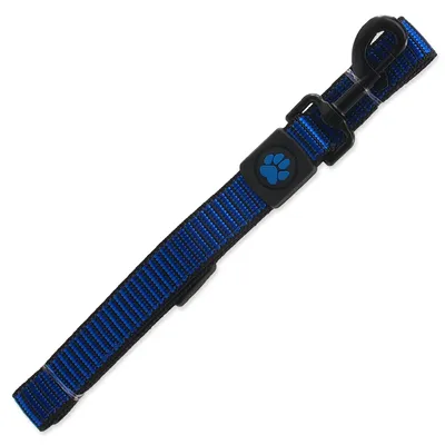 Obrázek produktu pro Vodítko DOG Strong modré L 1 ks