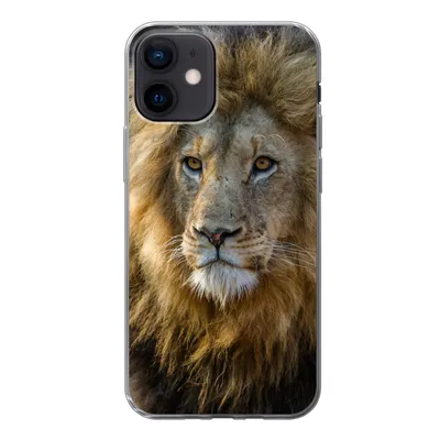 Produktbild von MuchoWow® Handyhülle Schutzhülle Hülle für iPhone 12 Löwe - Porträt - Wild Silikon Softcase Handy Hülle - Schutzhülle
