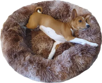 A dog is lying in a round, fluffy brown dog bed.