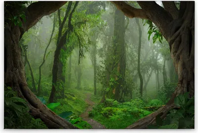 Produktbild von Leinwandbild Urwald 60 x 90 cm - Wandbild Dschungel Grün Braun - Keilrahmen Wald Wohnzimmerdeko Wanddeko Wandgemälde