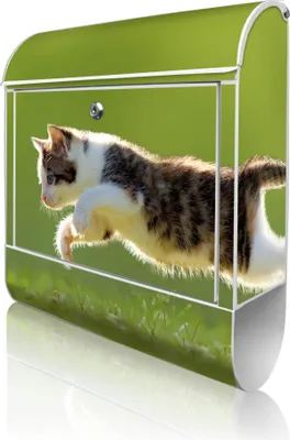 Produktbild von banjado Design Briefkasten Stahl weiß mit Zeitungsfach pulverbeschichtet "Jagende Katze" 38x46x12,5cm & 2 Schlüssel - Postkasten A4 Einwurf inkl. Montagematerial [BKW 10729]