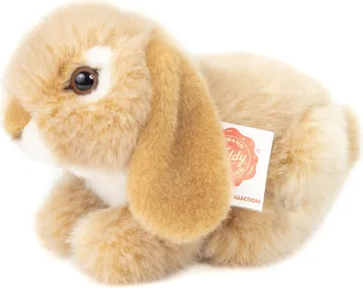 Image de Lapin bélier beige 18 cm