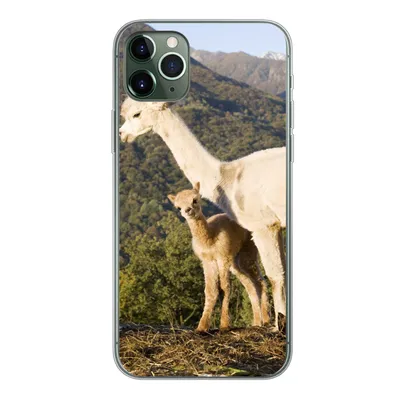 Produktbild von MuchoWow® Handyhülle Schutzhülle Hülle für iPhone 11 Pro Max Alpakas - Berge - Natur Silikon Softcase Handy Hülle - Schutz