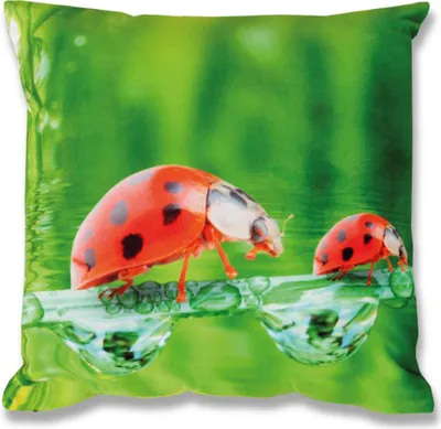 Produktbild von Kissenhülle Fotodruck 2er Pack, Käfer 40x40cm
