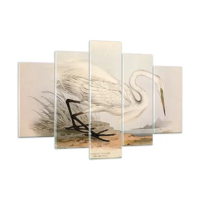 Produktbild von Bilder auf glas - 5 Teile - Vogel Weiß Reiher - 150x100cm - Glasbilder - Wandbilder - Bilder - zum Aufhängen bereit - Wanddekoration aus Glas - Glas Bilder - Wandbild auf Glas - GEA150x100-4979
