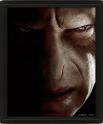 Produktbild von Pyramidint Poster Harry Potter/Voldemort 3D (5051265850065)