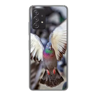 Produktbild von MuchoWow® Handyhülle Schutzhülle Hülle für Samsung galaxy a73 Nahaufnahme einer fliegenden Taube Silikon Softcase Handy Hülle - Handyhülle