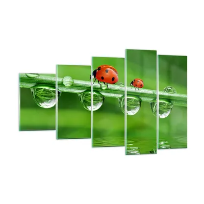 Produktbild von Bilder auf glas - Marienkäfer Wasser Grün Umwelt - 100x60cm - Glasbilder - Wandbilder - Kunstdruck - zum Aufhängen bereit - Wanddekoration aus Glas - Glas Bilder - Wandbild auf Glas - GEG100x60-2661