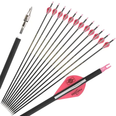 Productafbeelding van Koolstofpijlen, 30 inch schacht, 500 spine, ROZE