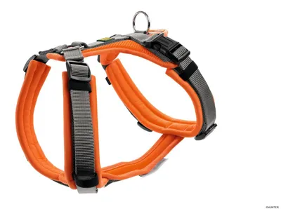 Produktbild von HUNTER Geschirr Maldon Up XS-S, orange/grau