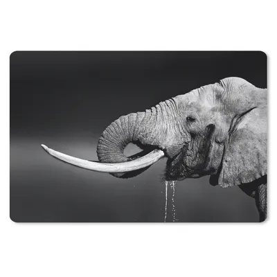 Produktbild von MuchoWow® Mauspad Mousepad Elefant - Wasser - Schwarz - Weiß 27x18 cm - Mousepads - Maus Mat - Pad - Mausunterlage - Büroartikel - Desk Matten