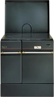 Immagine prodotto di Stufa a legna nera da 10 kw Godin 240162NOIR