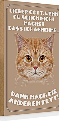 Produktbild von Holzschild Spruch Katze 20x30cm lieber Gott wenn du schon nicht