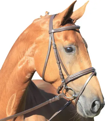 Immagine prodotto di Briglia snaffle STAR Lifestyle marrone/marrone, WB