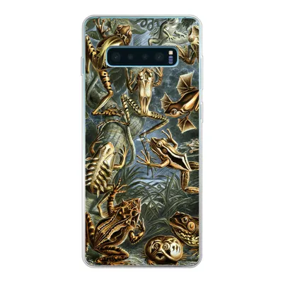 Produktbild von MuchoWow® Handyhülle Schutzhülle Hülle für Samsung Galaxy S10 Lite Batrachia - Haeckel - Alte Meister Silikon Softcase Handy Hülle - Schutz
