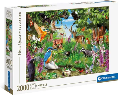 Produktbild von Clementoni Fantastic Forest Puzzlespiel 2000 Stück(e) Flora & Fauna