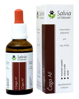 Obrázek produktu pro Čaga AF 50 ml