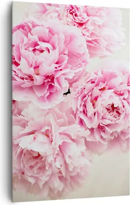 Produktbild von Bild auf Leinwand - Leinwandbild - Einteilig - Pfingstrosen Blumenstrauß Blumen - 80x120cm - Wand Bild - Wandbilder - Leinwanddruck - Wanddekoration - Leinwand bilder - Wandbild - PA80x120-4961
