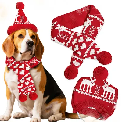 Produktbild von Weihnachtsgeweih und Schal für Hunde