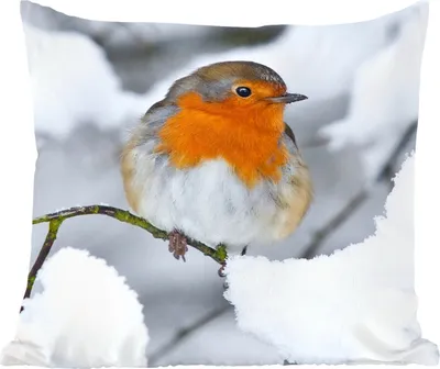 Produktbild von MuchoWow® Zierkissen Sofakissen Wohnzimmer Dekokissen 50x50 cm Rotkehlchen - Schnee - Winter - Komfort - Sofakissen