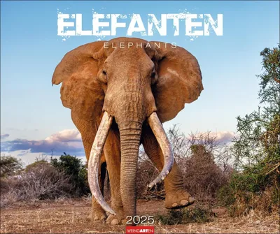Produktbild von Elefanten Kalender 2025